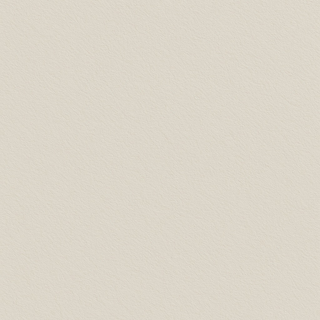 Bone Powder Coat Swatch