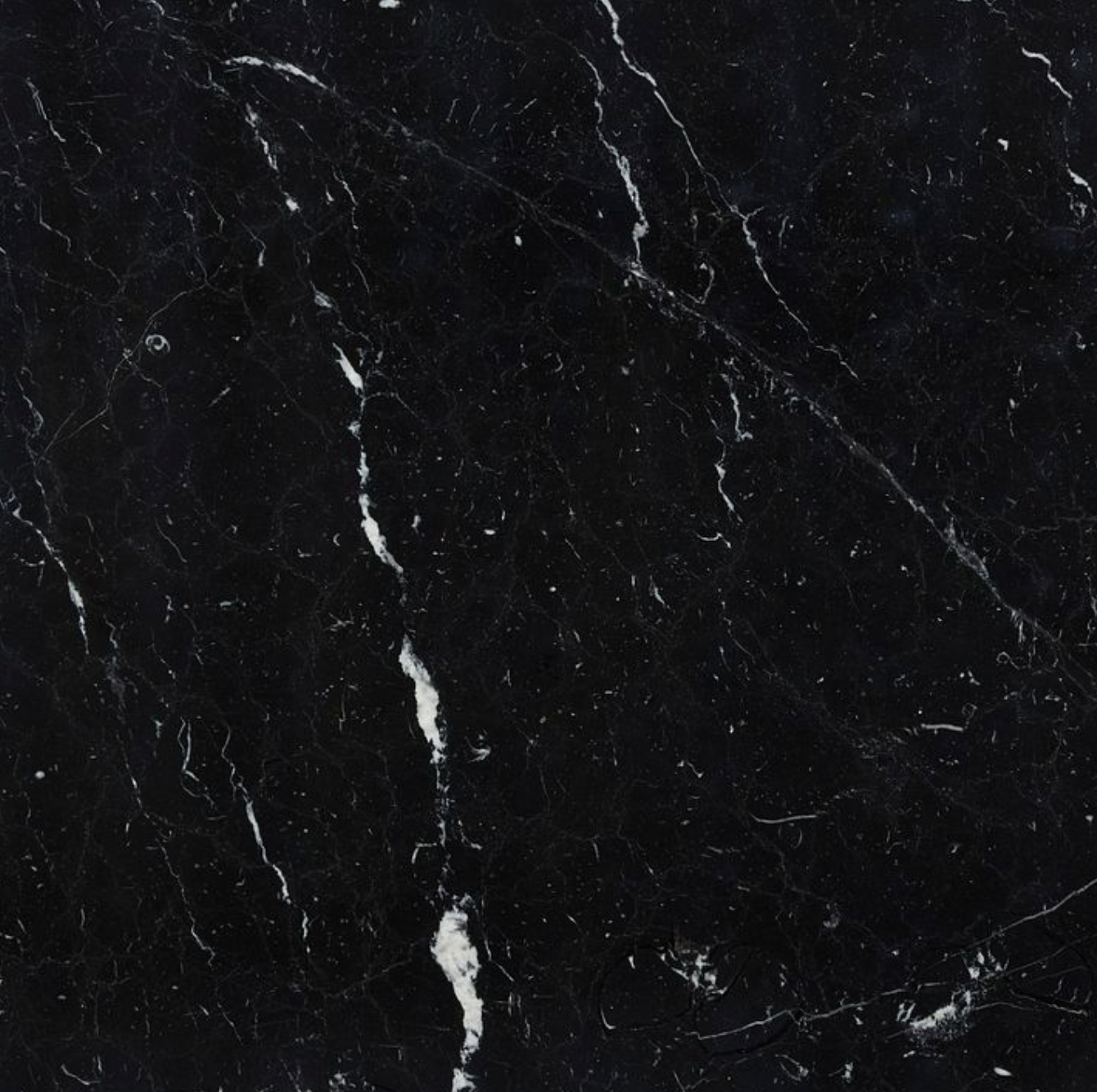 Negro Marquina Marble Swatch