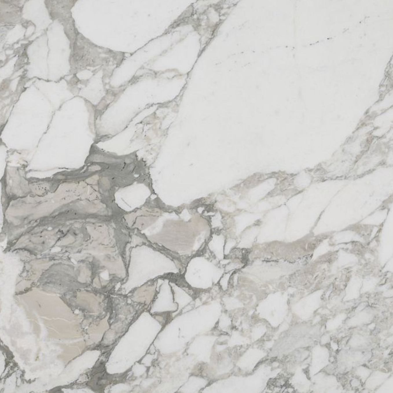 Arabescato Marble Swatch