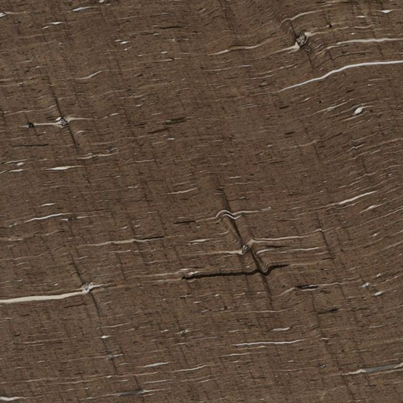 Meteor Shower Swatch